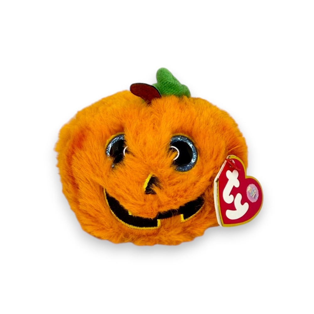 Seeds the Pumpkin | Pumpkin Patch Cutie | Mint Heart Tag TY Puffie